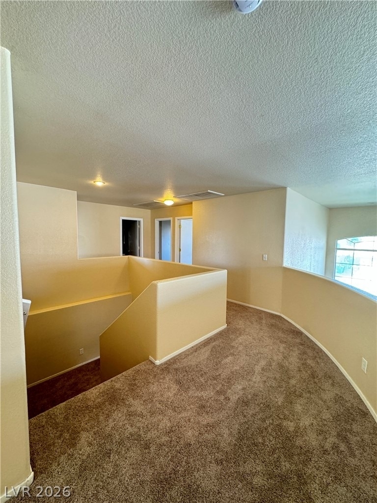 877 Bare Branch Avenue - Photo 14
