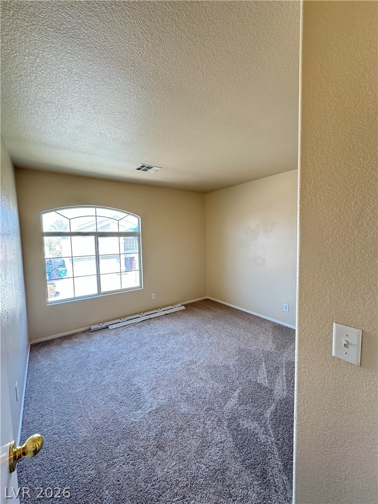 877 Bare Branch Avenue - Photo 12