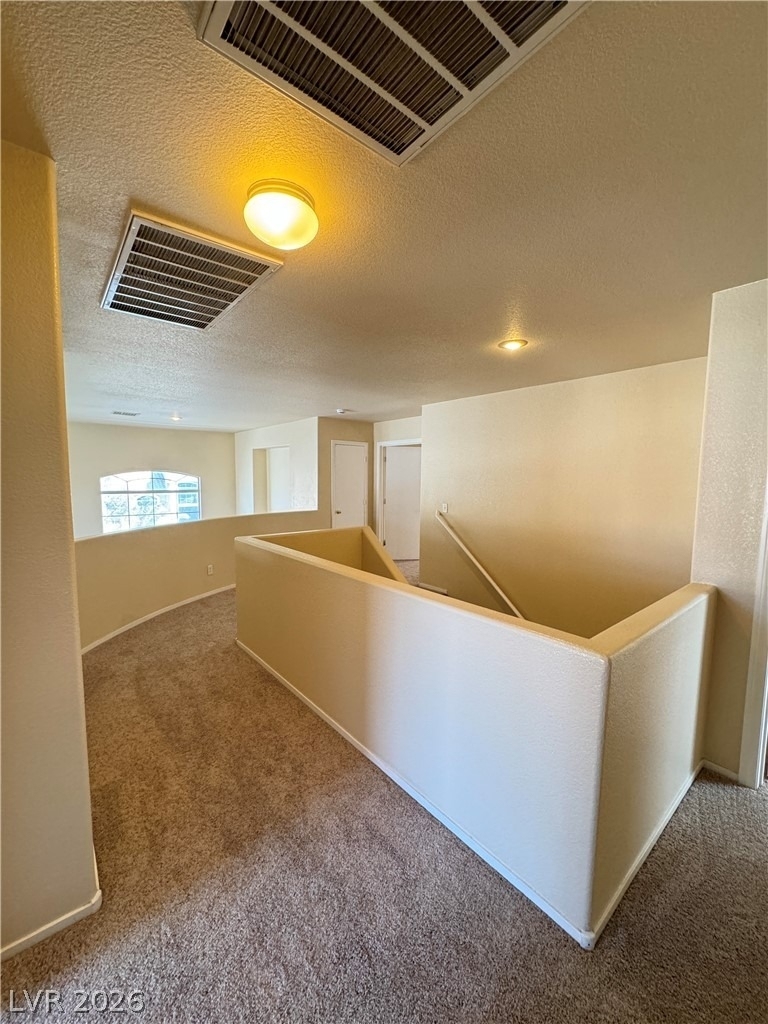 877 Bare Branch Avenue - Photo 13