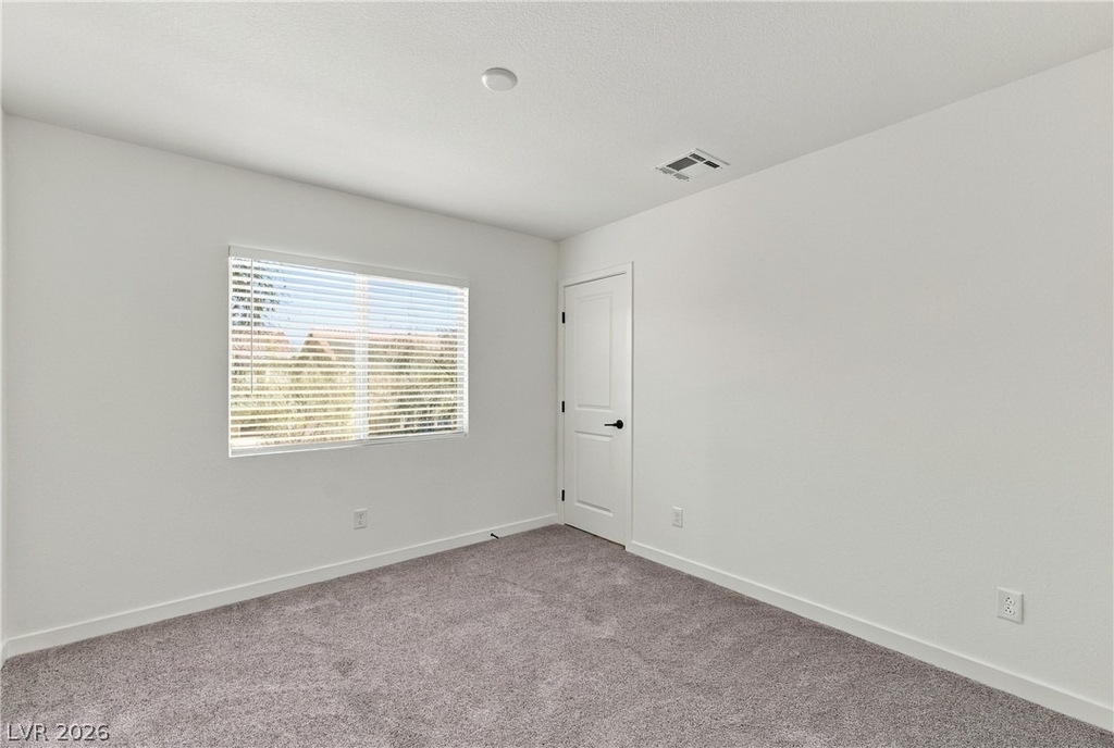 10012 Griffin Creek Street - Photo 14
