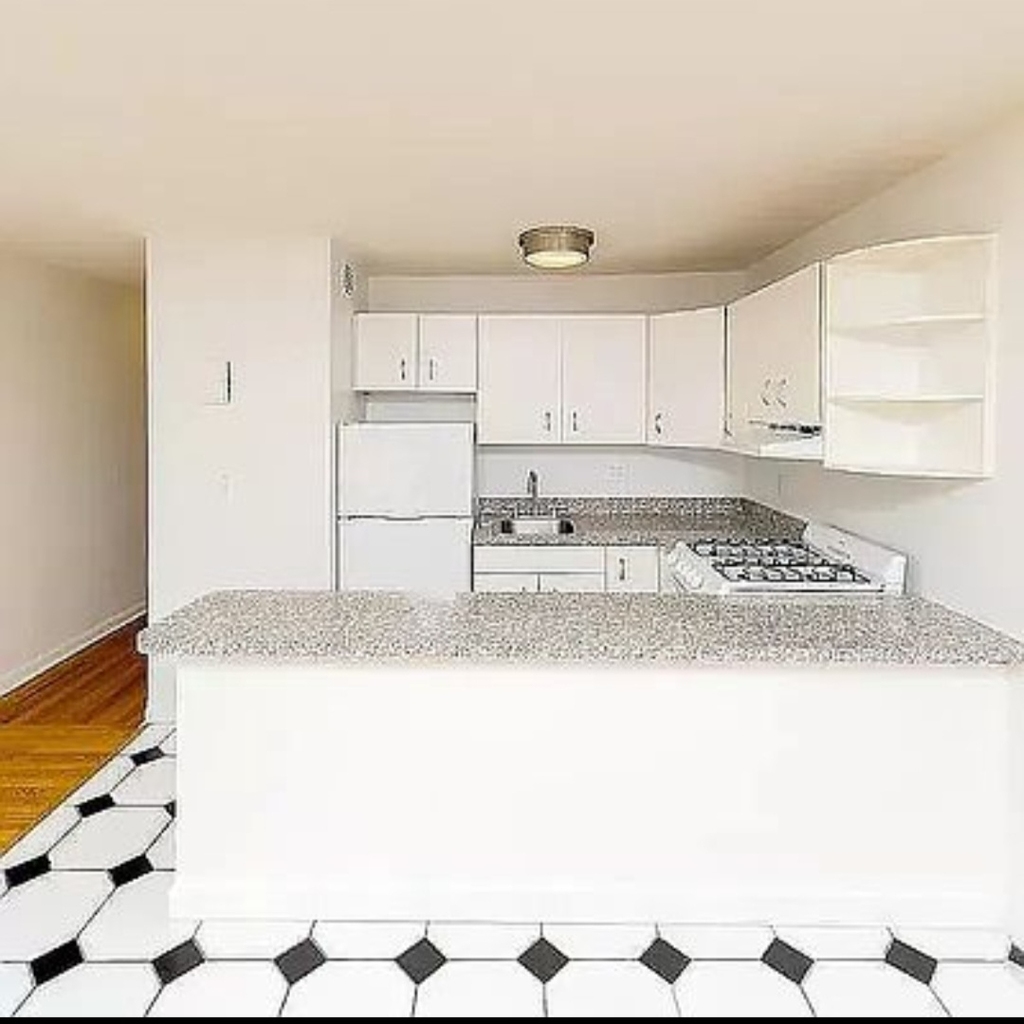 342 East 55th Street - Photo 3