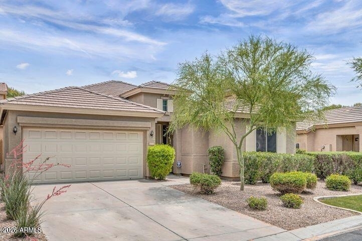 1167 N Cholla Street - Photo 0