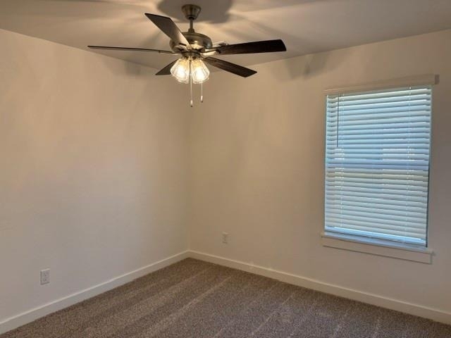 16104 Wolf Creek Way - Photo 25