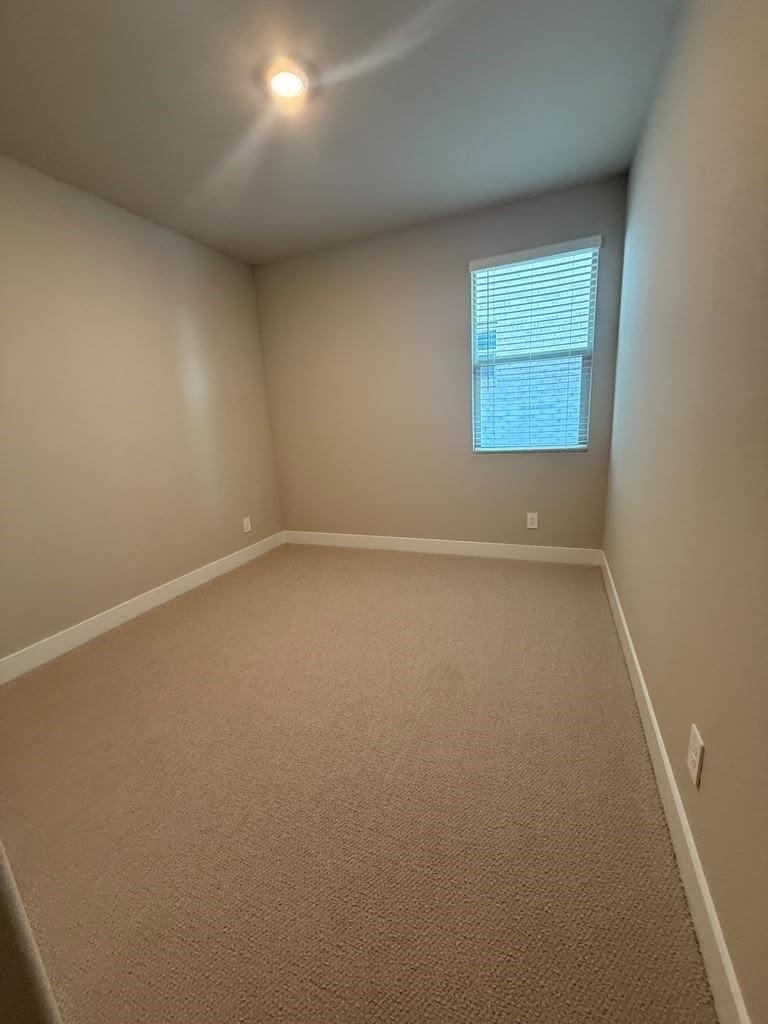 1313 Winters Way - Photo 9
