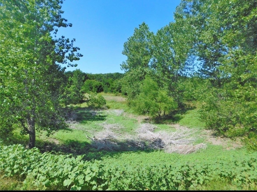 7012 State Highway 56 - Photo 17