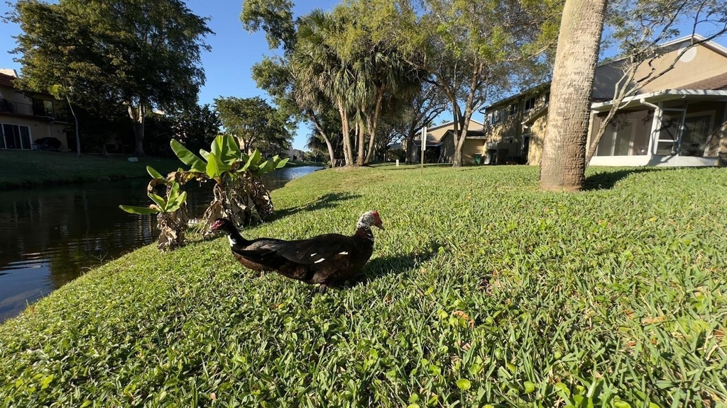 5811 Nw 57th Avenue - Photo 28