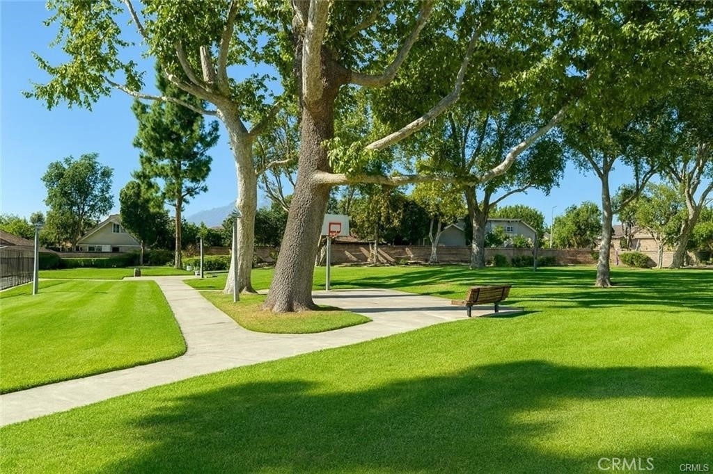 4466 Lidia Court - Photo 3