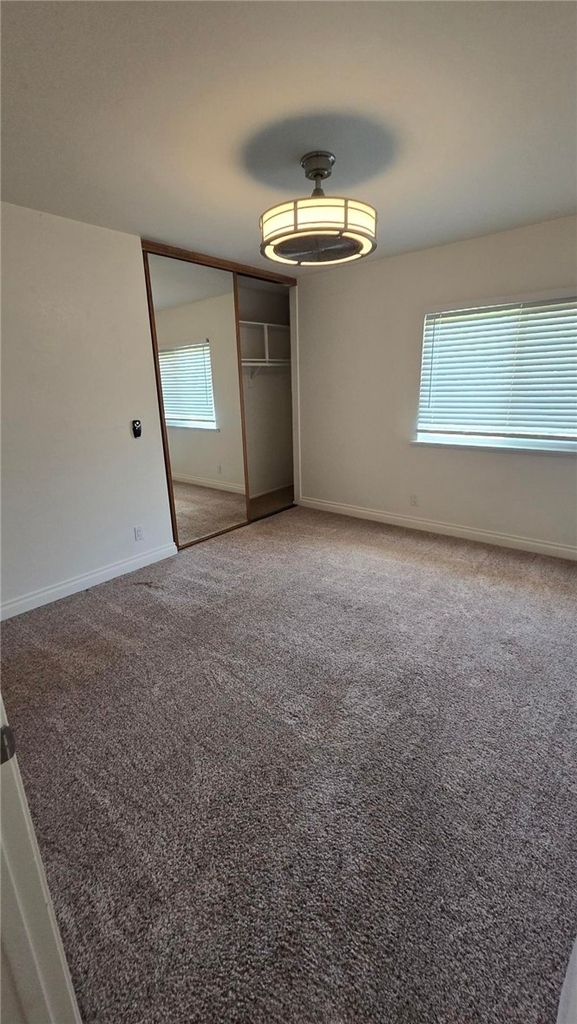 27165 Pinario - Photo 16