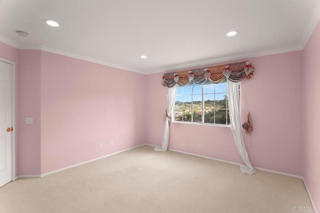 12046 Windom Peak Way - Photo 11