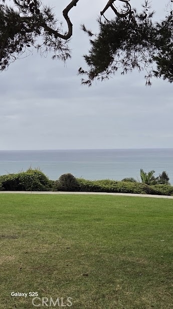 34812 Camino Capistrano - Photo 12