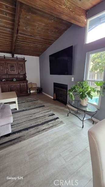 34812 Camino Capistrano - Photo 4