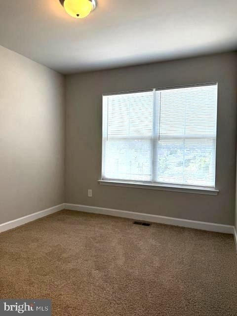 54 Andrews Place - Photo 10