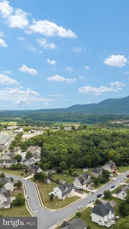 677 Dellinger Drive - Photo 45