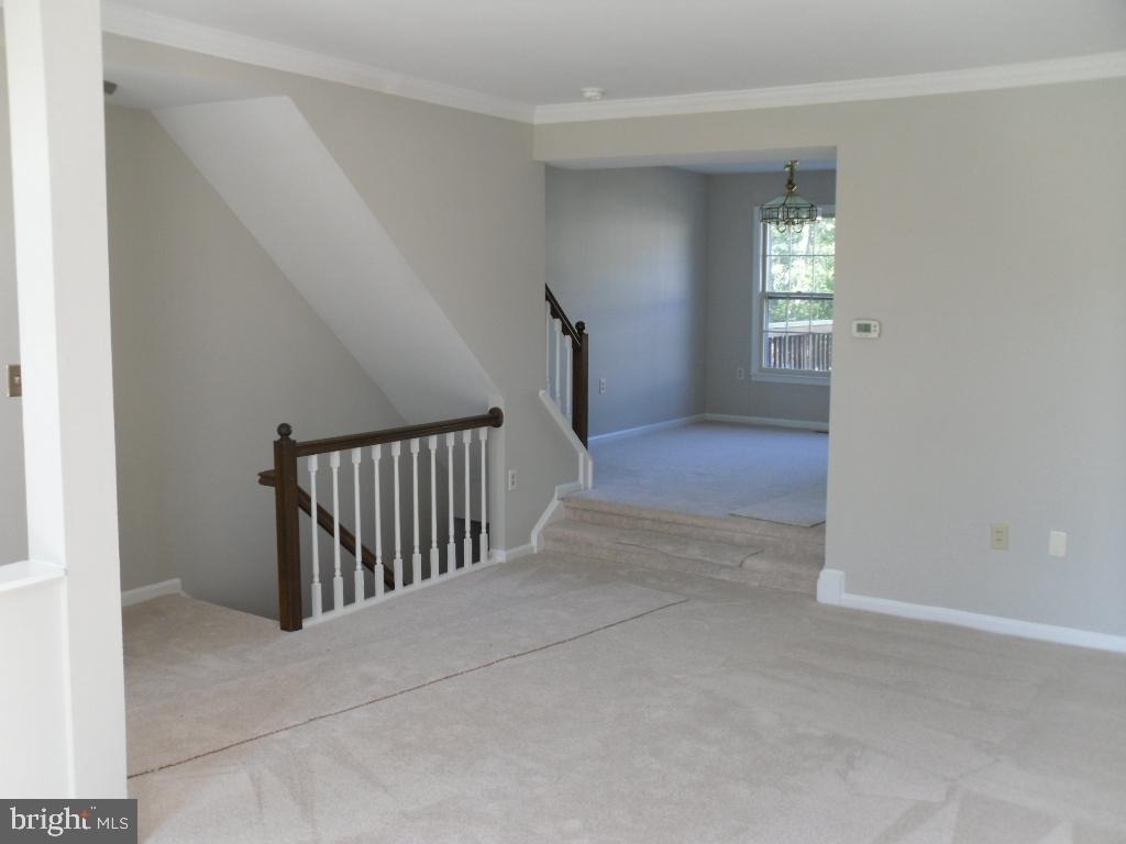 13312 Foxhole Drive - Photo 6