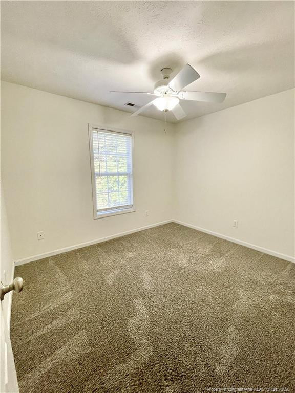 50 Sweet Gum Circle - Photo 28