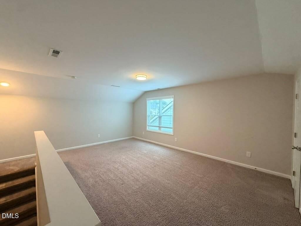 1244 Brown Velvet Lane - Photo 30