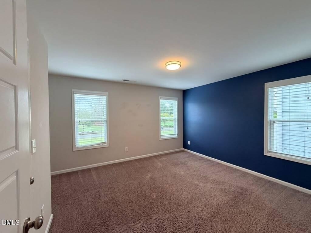 1244 Brown Velvet Lane - Photo 16