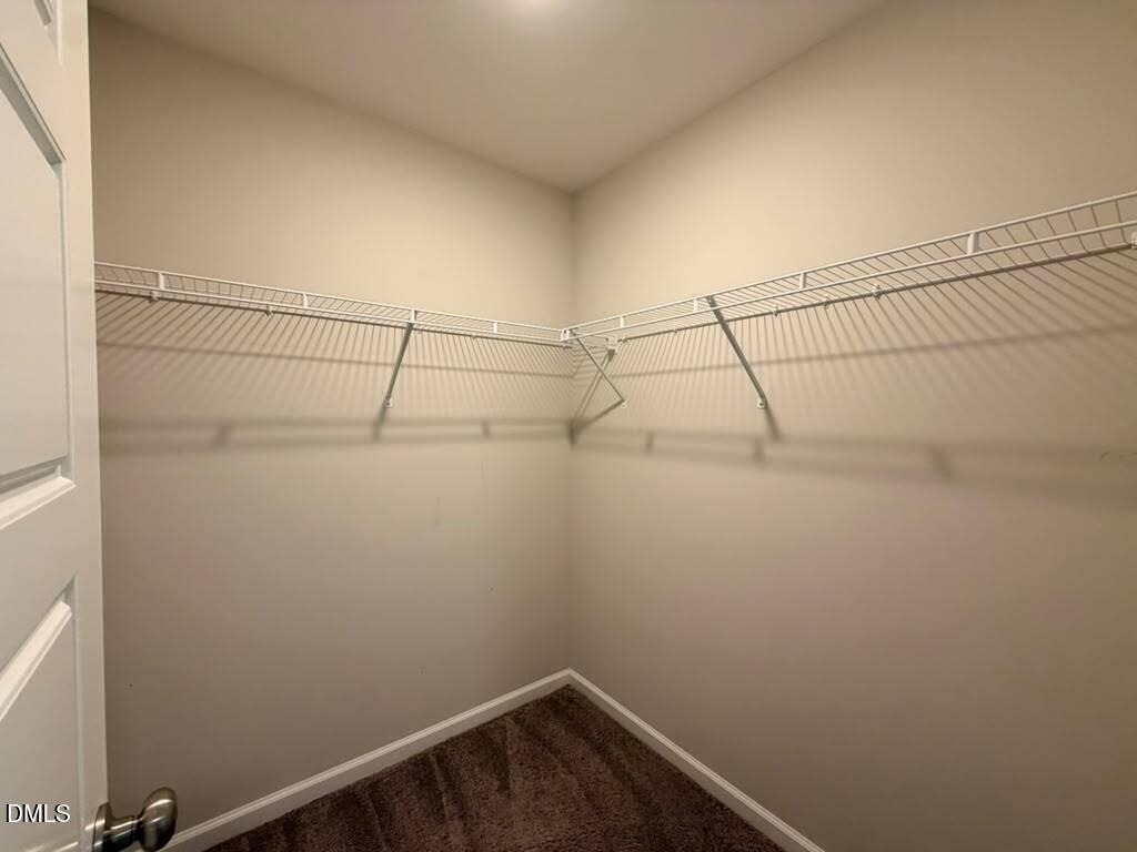 1244 Brown Velvet Lane - Photo 21