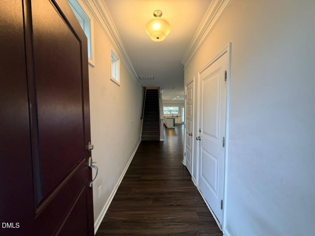 1244 Brown Velvet Lane - Photo 4