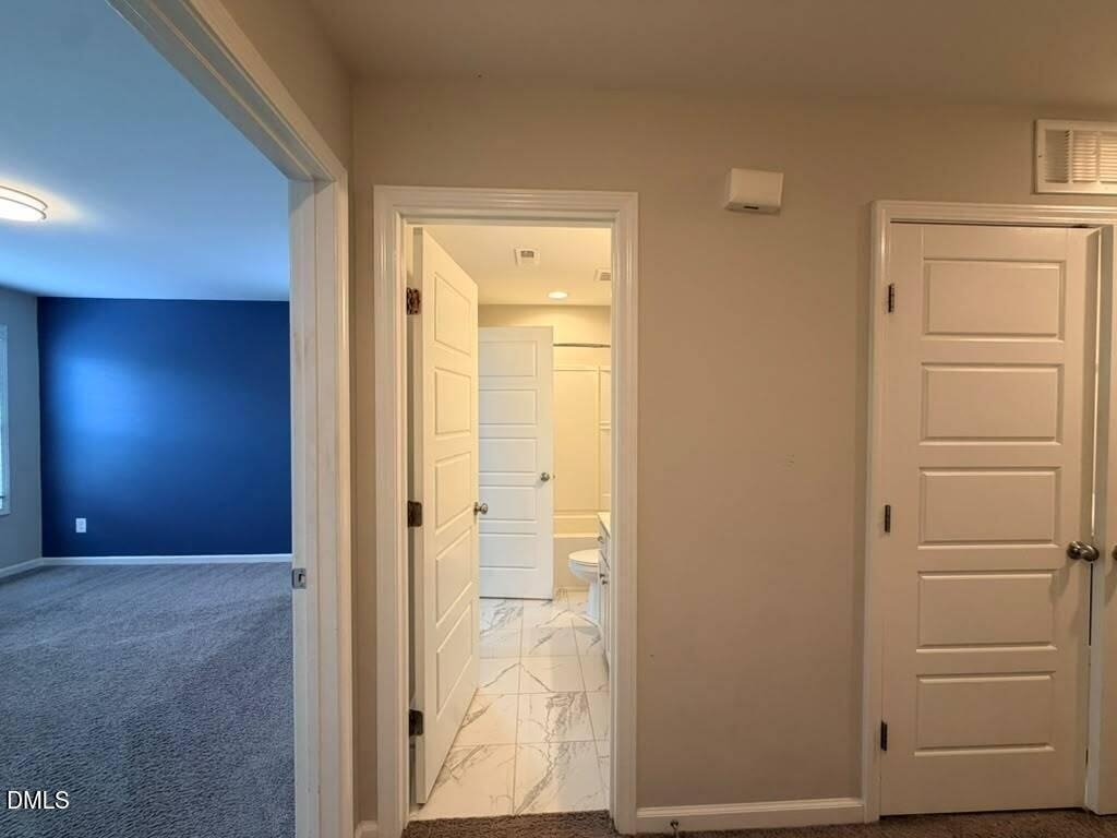 1244 Brown Velvet Lane - Photo 17
