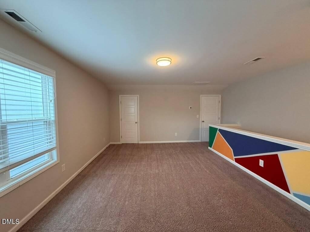 1244 Brown Velvet Lane - Photo 29