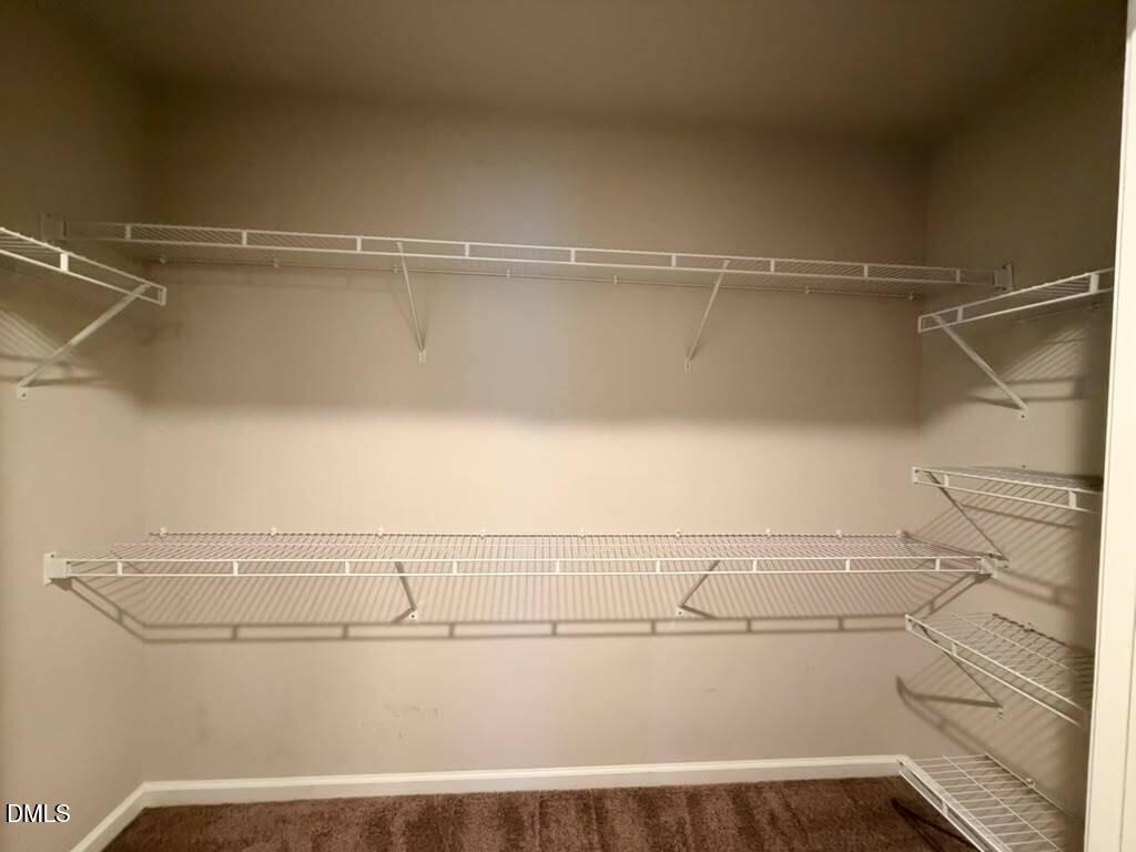 1244 Brown Velvet Lane - Photo 24