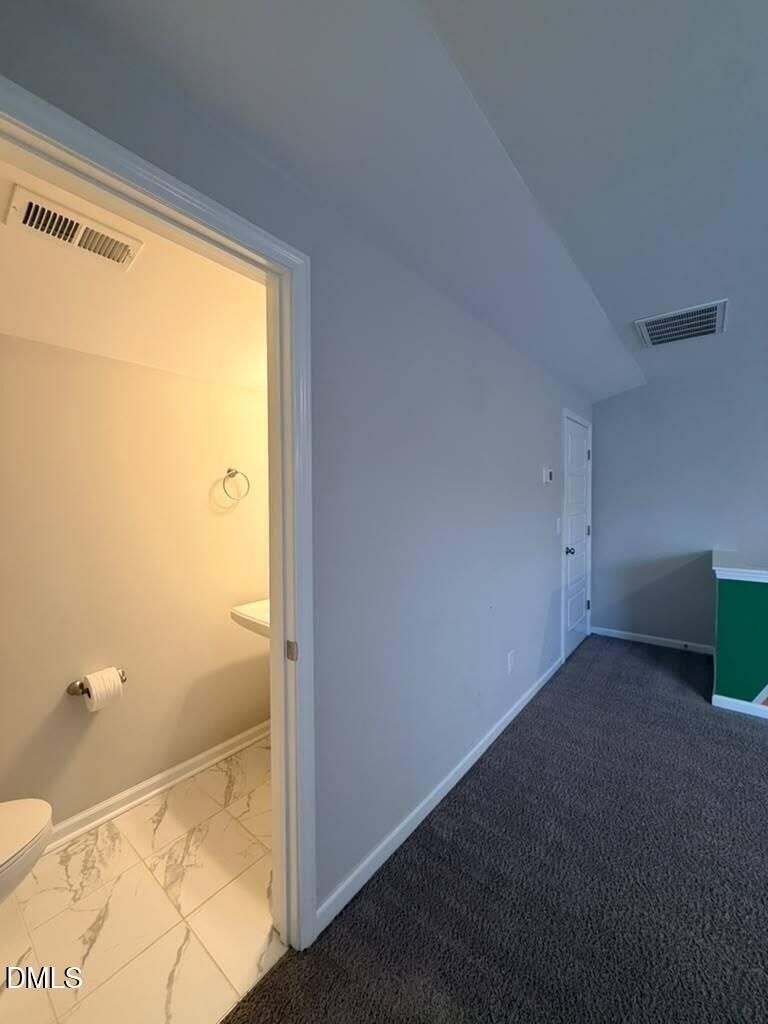 1244 Brown Velvet Lane - Photo 31