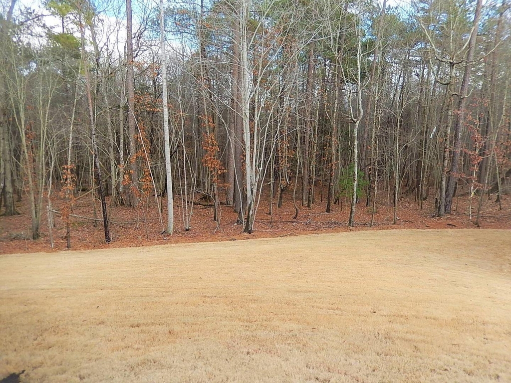 817 Oak Center Drive - Photo 28