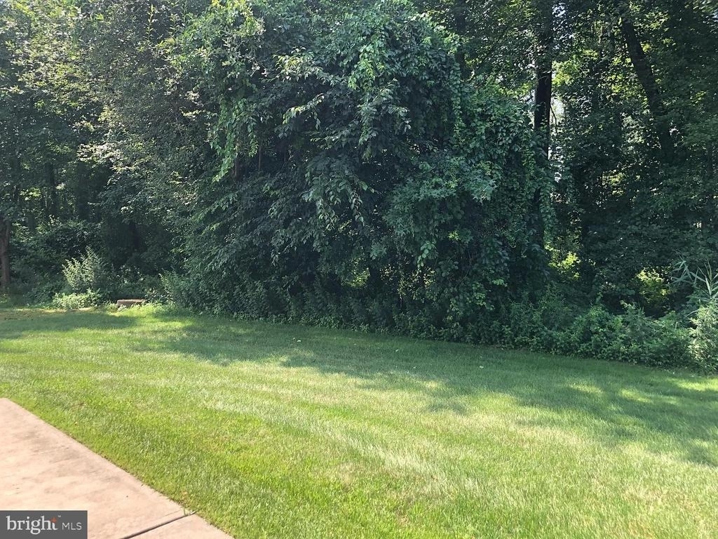 172 Fountayne Lane - Photo 22