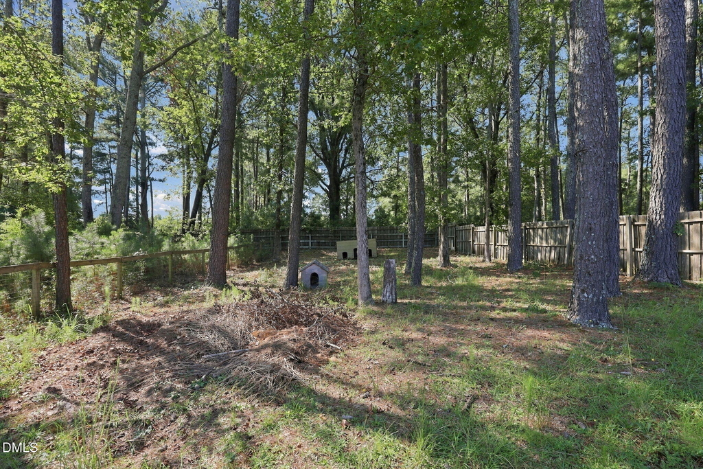 570 Buchanan Road - Photo 39