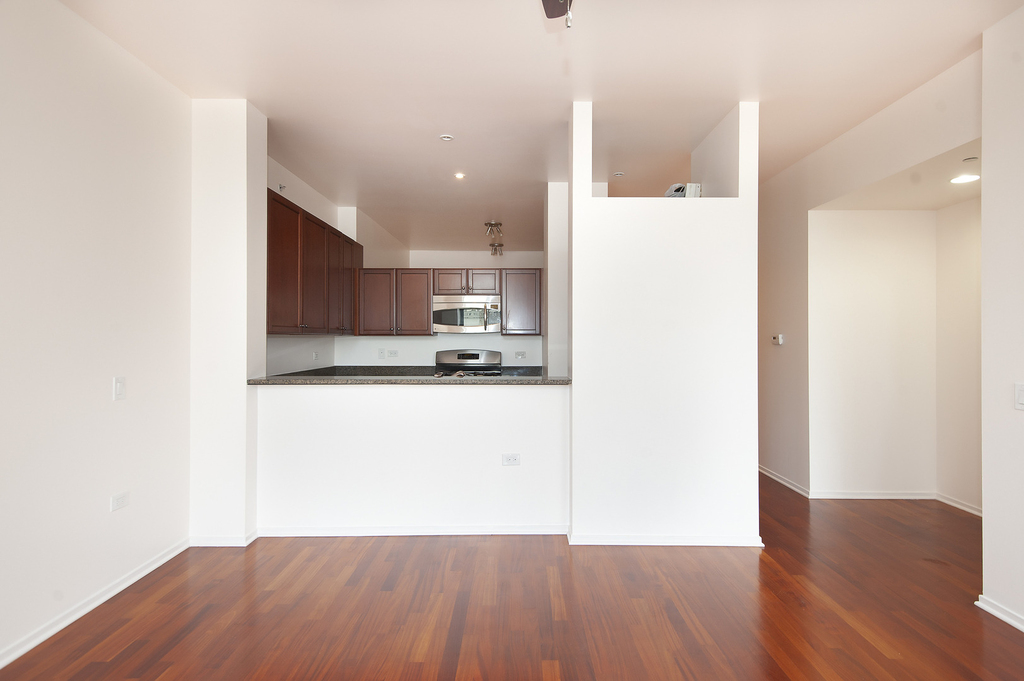 310 S Michigan Avenue - Photo 4