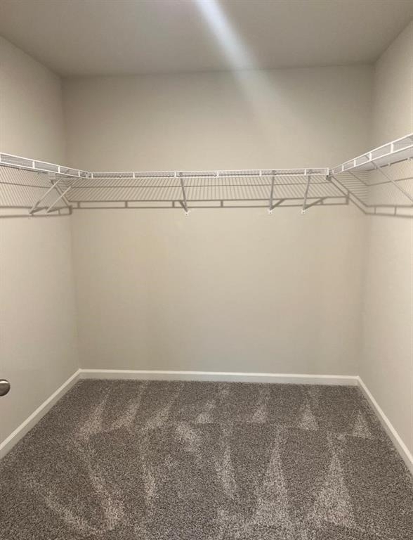 950 Sunny Lake Drive - Photo 23