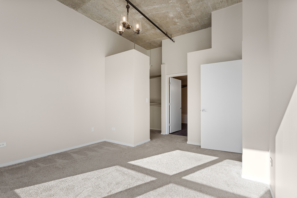 933 W Van Buren Street - Photo 10