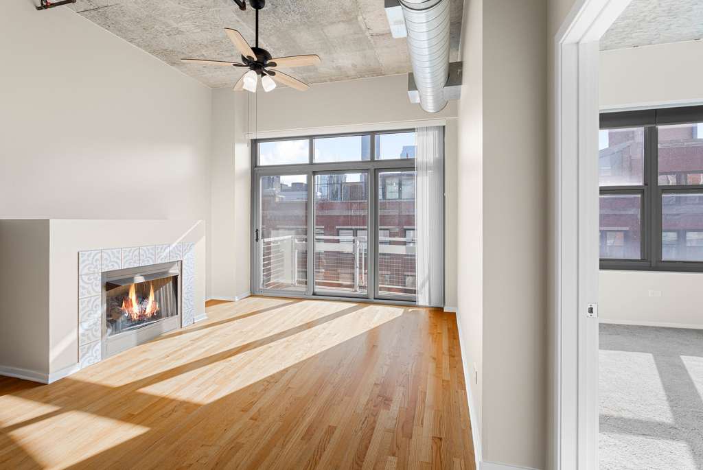 933 W Van Buren Street - Photo 2