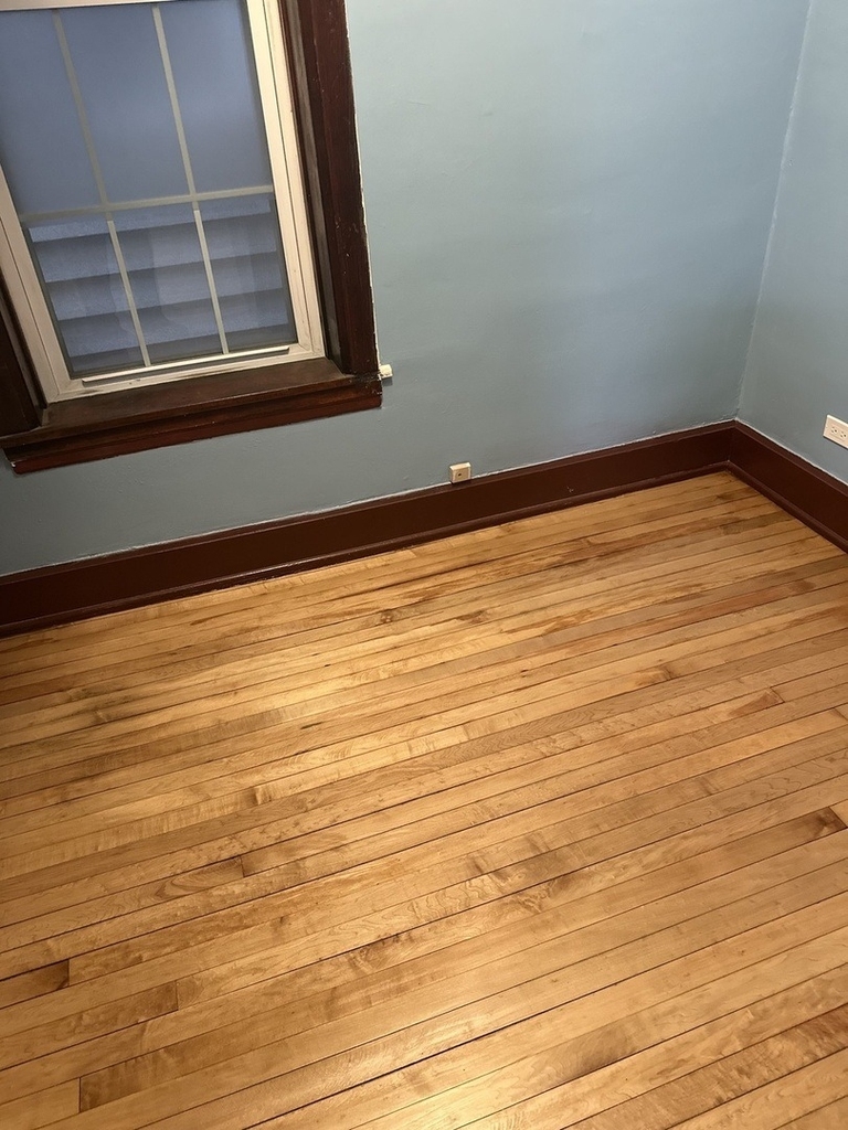 3243 N Hoyne Avenue - Photo 3