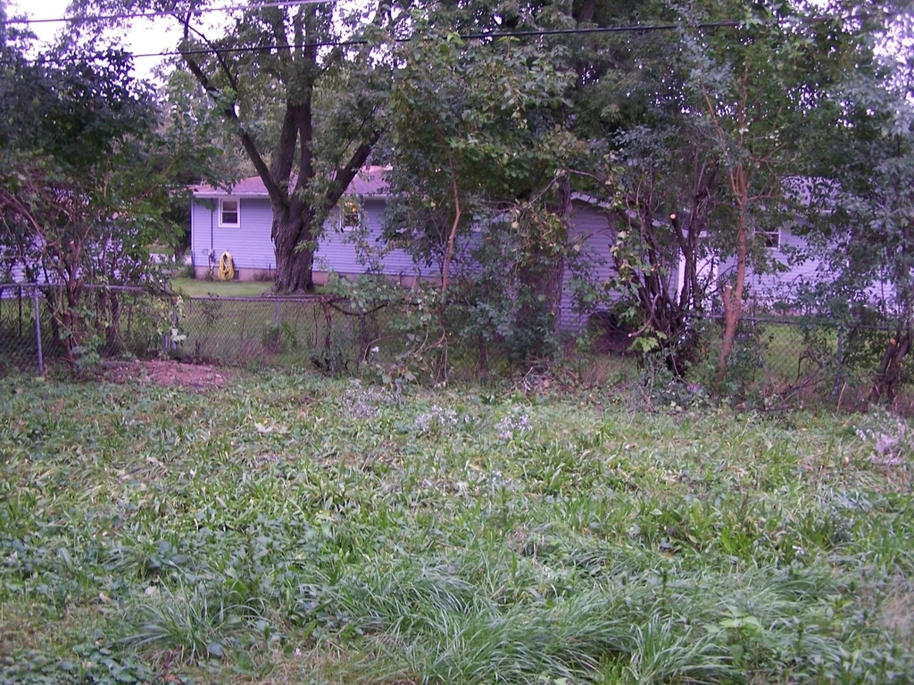 1950 Sheila Street - Photo 12