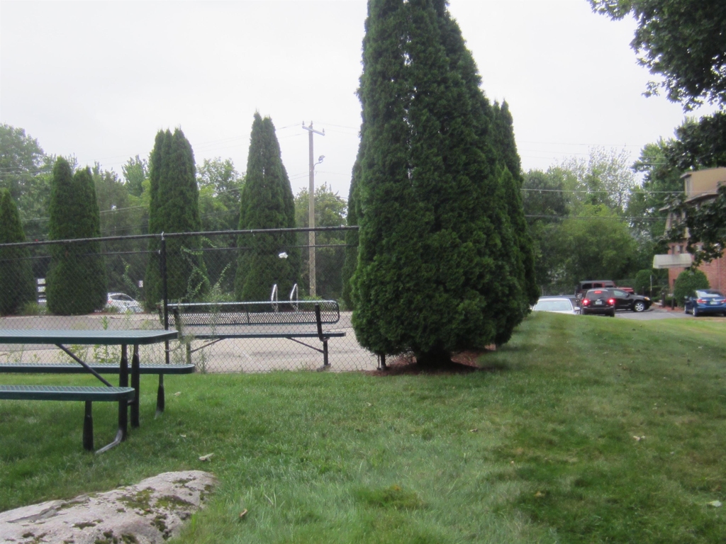 75 Log - Photo 1