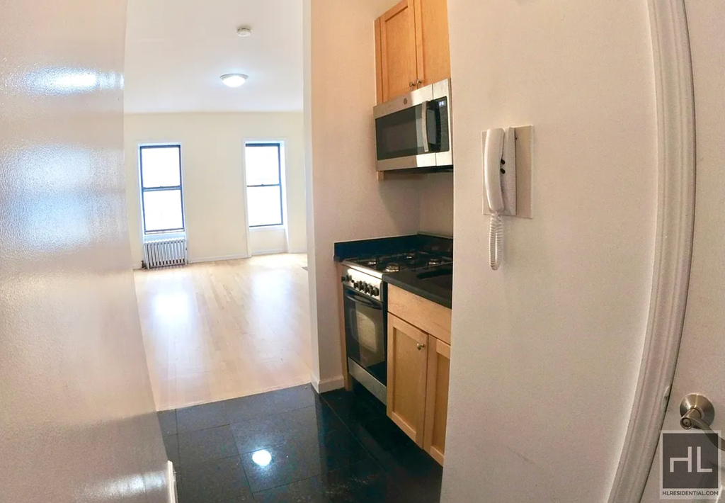 East 84th Street - Photo 2