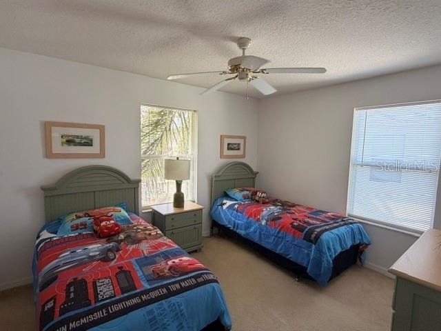 519 Aldridge Lane - Photo 29