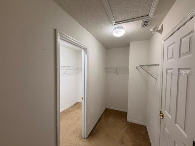 519 Aldridge Lane - Photo 25