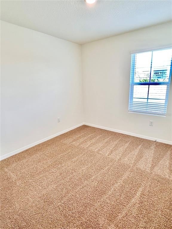 1020 Chasetree Lane - Photo 19