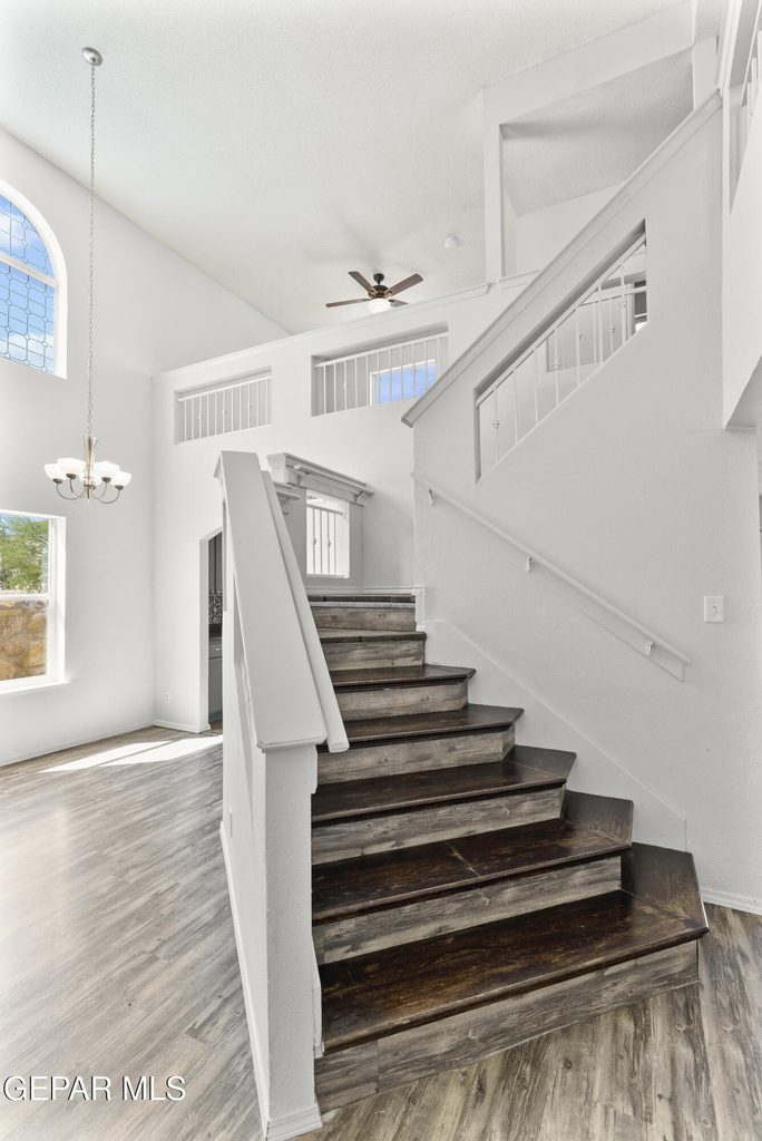 10799 Walden Pond Street - Photo 16