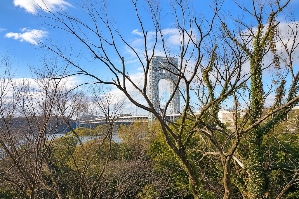 850 West 176th Street - Photo 10