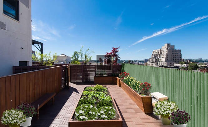 West 91st Street - Photo 3