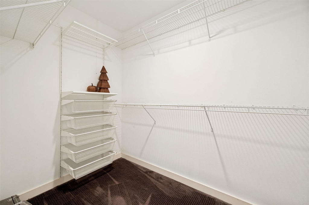 3828 San Jacinto - Photo 17