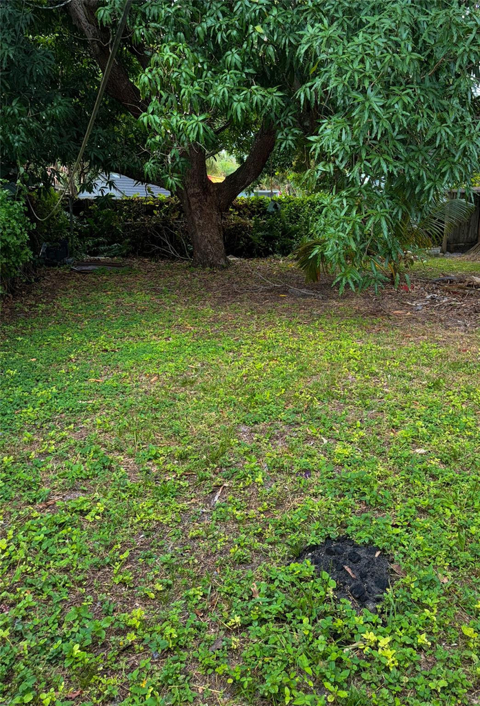 1405 Nw 6th Avenue - Photo 5