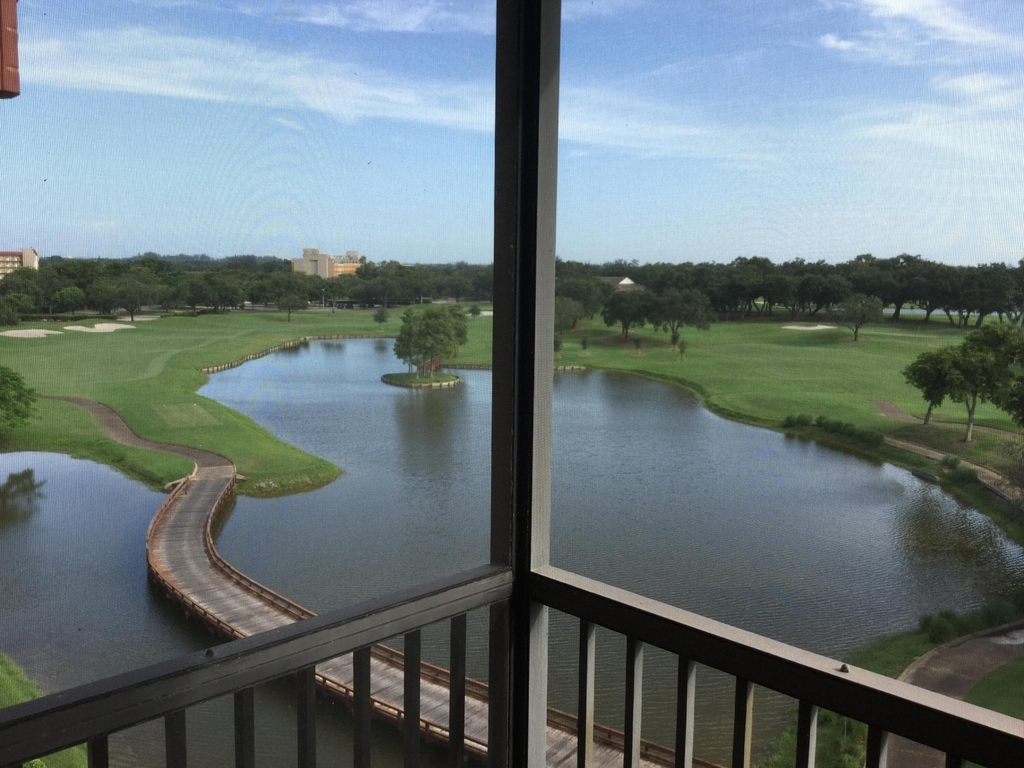 3001 W Rolling Hills Circle - Photo 10