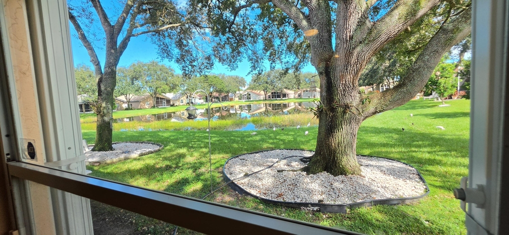 7299 Lugano Drive - Photo 14
