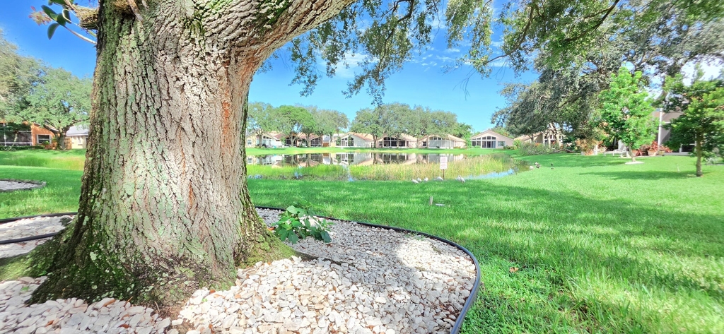 7299 Lugano Drive - Photo 25