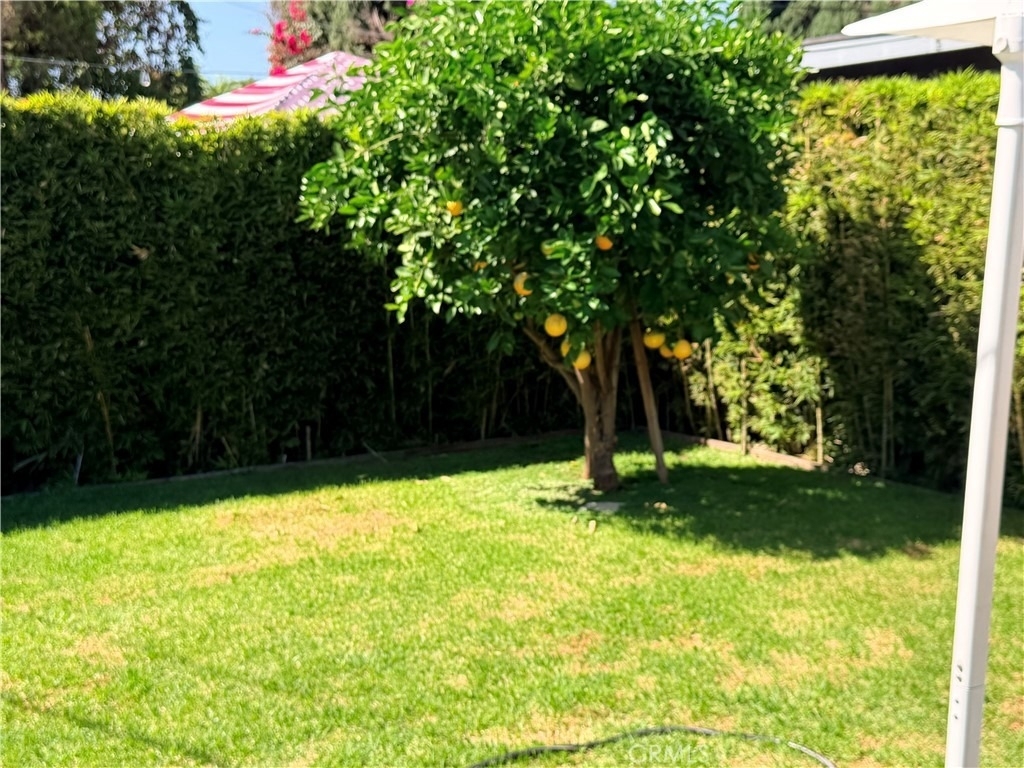 7833 Bothwell - Photo 38